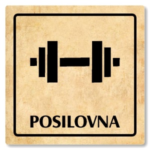 Posilovna, 148x148mm, pergamen, Arizona